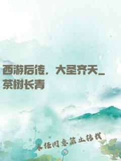 西游后传，大圣齐天