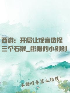 西游：开局让观音选择三个石猴