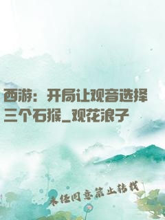 西游：开局让观音选择三个石猴
