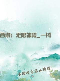 西游：无限体验