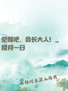 觉醒吧，会长大人！