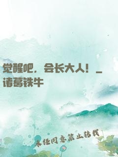 觉醒吧，会长大人！