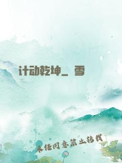 计动乾坤