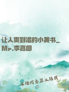 让人爽到湿的小黄书