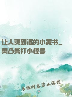 让人爽到湿的小黄书