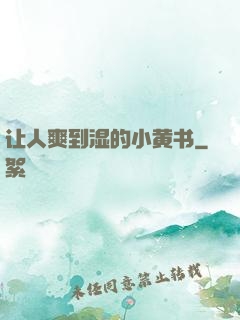 让人爽到湿的小黄书