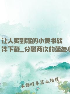 让人爽到湿的小黄书软件下载