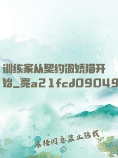 训练家从契约傲娇猫开始