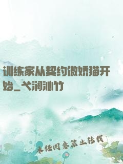 训练家从契约傲娇猫开始