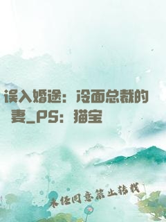 误入婚途：冷面总裁的囧妻