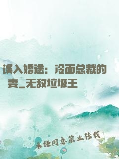 误入婚途：冷面总裁的囧妻
