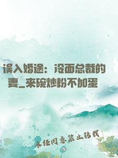 误入婚途：冷面总裁的囧妻