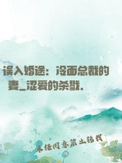误入婚途：冷面总裁的囧妻
