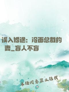 误入婚途：冷面总裁的囧妻