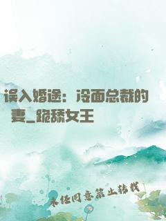 误入婚途：冷面总裁的囧妻