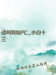 请叫我NPC