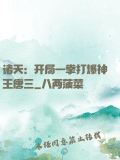诸天：开局一拳打爆神王唐三
