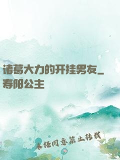 诸葛大力的开挂男友