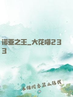 诺亚之王
