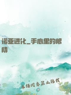 诺亚进化