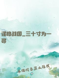谋略战国