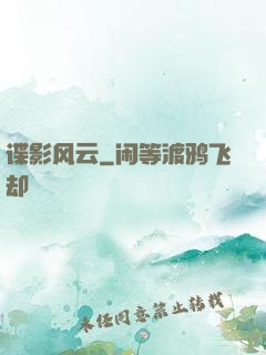 谍影风云