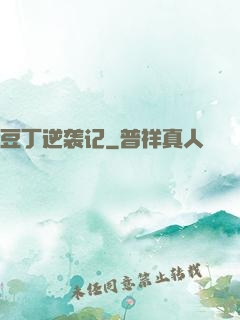 豆丁逆袭记
