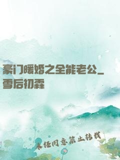 豪门暖婚之全能老公