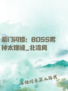 豪门闪婚：BOSS男神太难缠