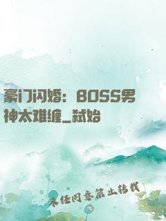 豪门闪婚：BOSS男神太难缠
