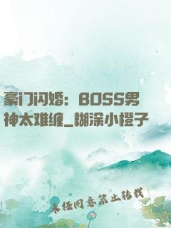 豪门闪婚：BOSS男神太难缠
