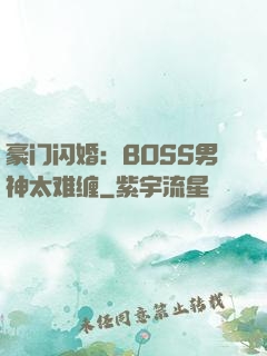 豪门闪婚：BOSS男神太难缠