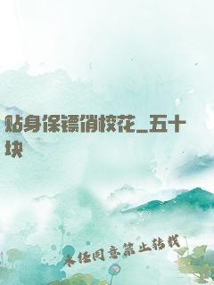贴身保镖俏校花