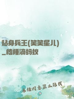 贴身兵王(笑笑星儿)