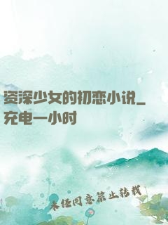 资深少女的初恋小说