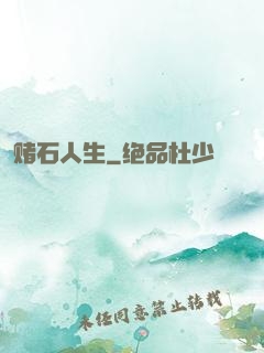 赌石人生