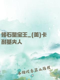 赌石鉴宝王
