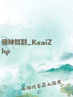 赌神驾到