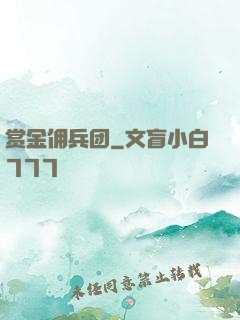 赏金佣兵团