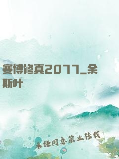 赛博修真2077