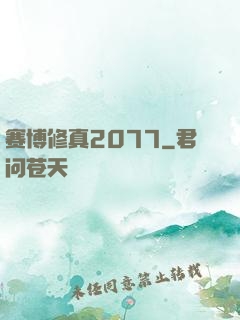 赛博修真2077