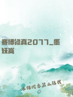赛博修真2077