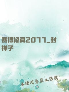 赛博修真2077