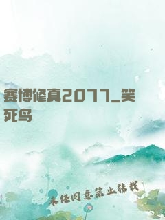 赛博修真2077