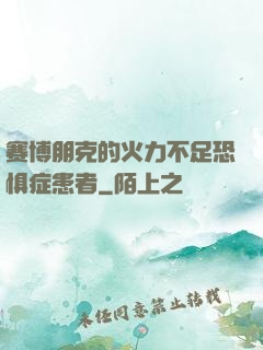 赛博朋克的火力不足恐惧症患者