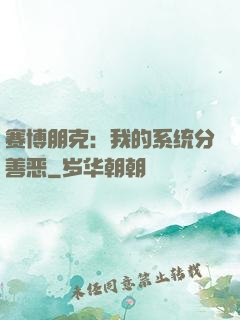 赛博朋克：我的系统分善恶