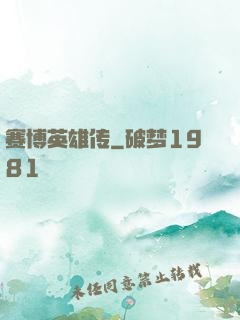 赛博英雄传