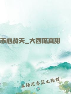 赤心战天
