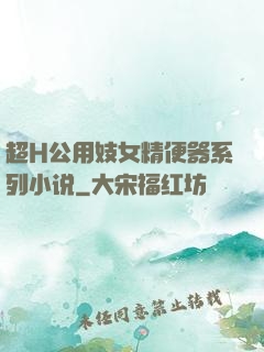 超H公用妓女精便器系列小说