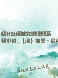 超H公用妓女精便器系列小说